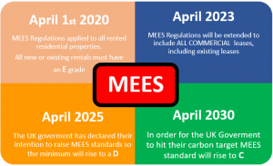 mees advice company in London